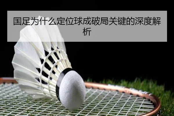 img_1780931370413_254_1_313.jpg