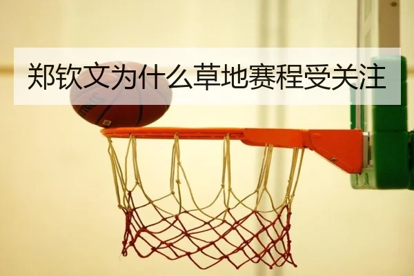 郑钦文为什么草地赛程受关注