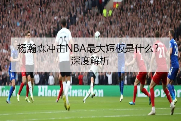 杨瀚森冲击NBA最大短板是什么？深度解析